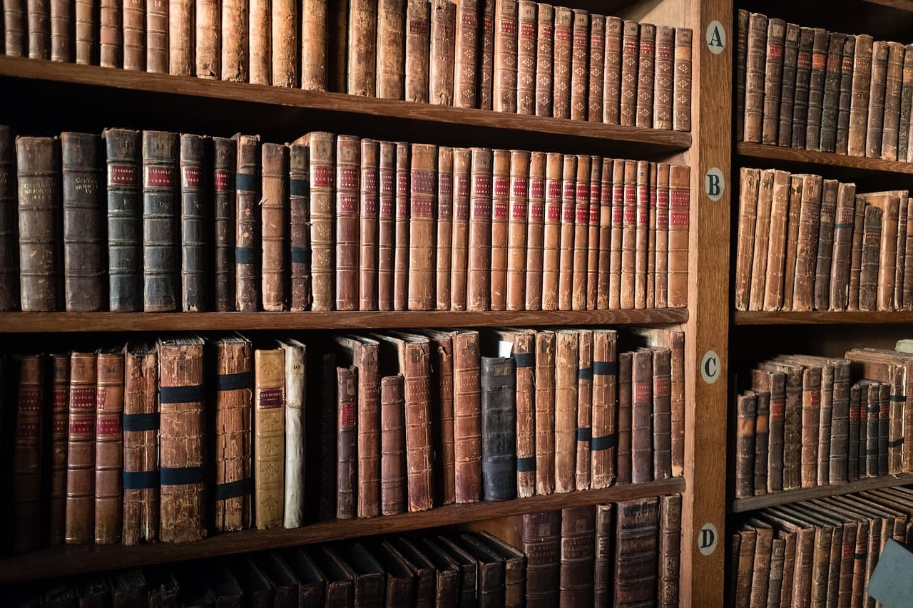 Shelves of old leather-bound books